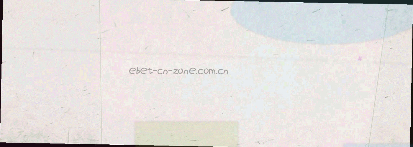横向卷轴中排列的检索栏与更新记录条目界面局部